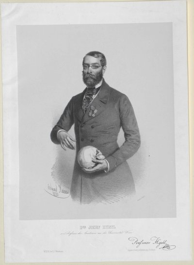 Joseph Hyrtl tekijältä Artist Unknown