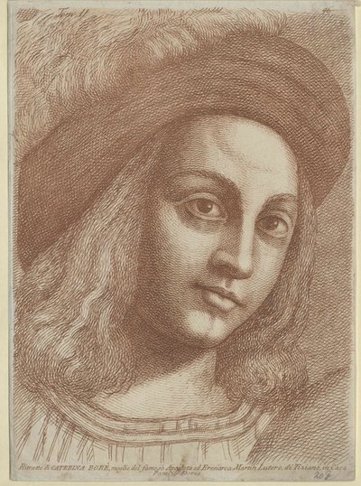 Katharina von Bora (painettu) tekijältä Artist Unknown