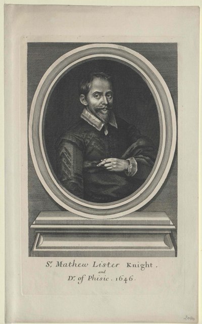 Matthew List (tulosta) tekijältä Artist Unknown