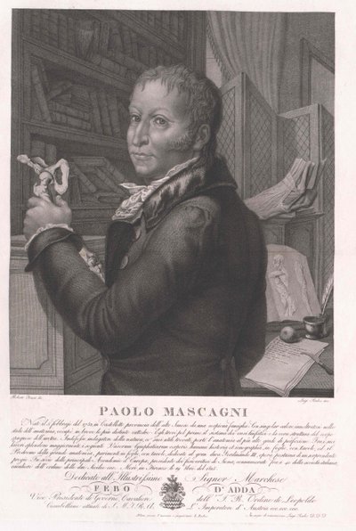 Paolo Mascagni tekijältä Artist Unknown