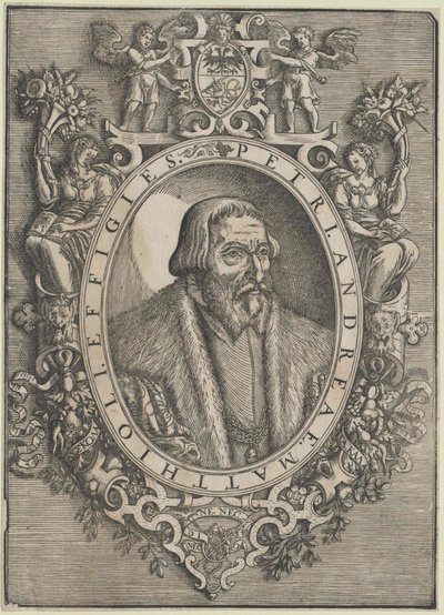 Pietro Andrea Mattioli (painettu) tekijältä Artist Unknown