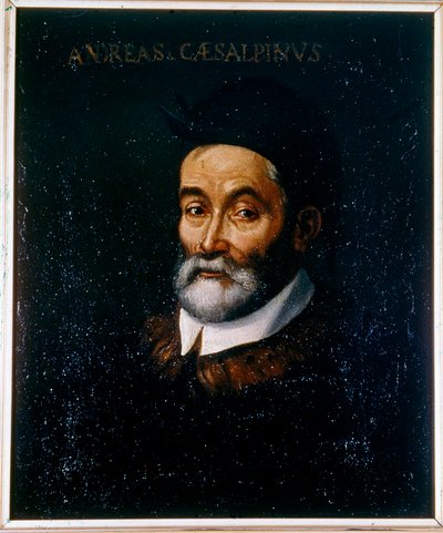 Andrea CESALPINON muotokuva tekijältä Artist Unknown