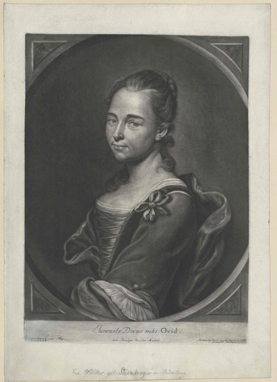 Steinberg (huippu), tekijältä Artist Unknown