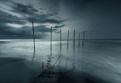Moody Sea Poles tekijältä Asef Azimaie