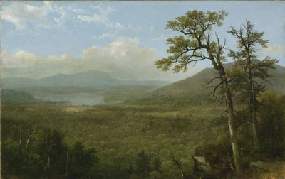 Adirondack Mountains, New York, 1870 tekijältä Asher Brown Durand