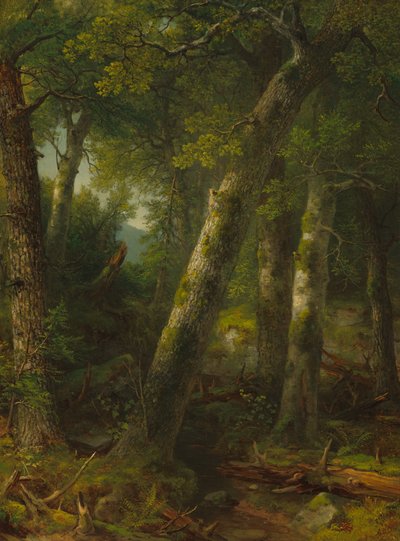Metsä aamuvalossa, n. 1855. tekijältä Asher Brown Durand