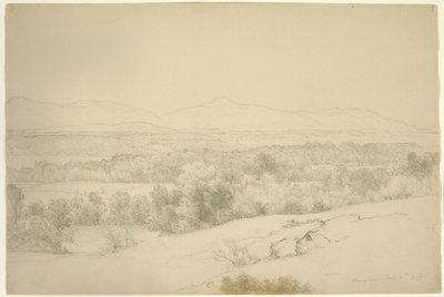 Maisema, Barrytown, New York, 1865 (grafiitti ruskealla paperilla) tekijältä Asher Brown Durand
