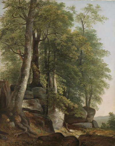Maisema kivillä ja puilla, n. 1845 tekijältä Asher Brown Durand