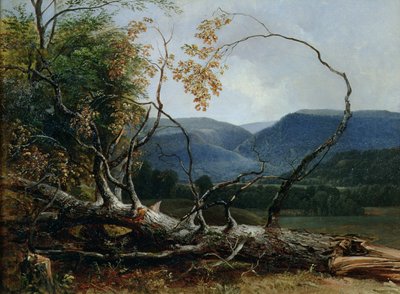 Stratton Notch, Vermont tekijältä Asher Brown Durand