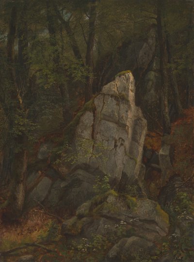 Pearsonin rotkon kivien tutkiminen tekijältä Asher Brown Durand