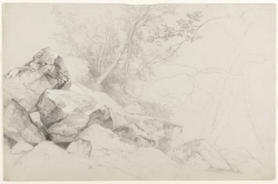 Study of Rocks with Trees, Haag, Lake George, New York, 1862 (grafiitti harmaalle paperille) tekijältä Asher Brown Durand