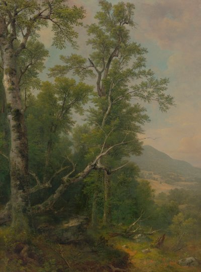 Puiden tutkimus tekijältä Asher Brown Durand