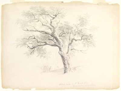 Chestnut Oak Hosack Estatessa, Hyde Park, New York, viisi hahmoa ja taiteilijapiirros, 1838 (grafiitti paperille) tekijältä Asher Brown Durand