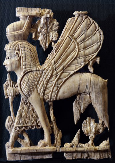 Siivekäs griffin ihmiskasvoilla, foinikialaistyylinen norsunluun koristelu, Nimrud, 800-700 eKr. (norsunluu) tekijältä Assyrian