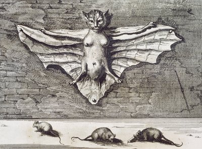 Cattus volans, 1667 tekijältä Athanasius Kircher