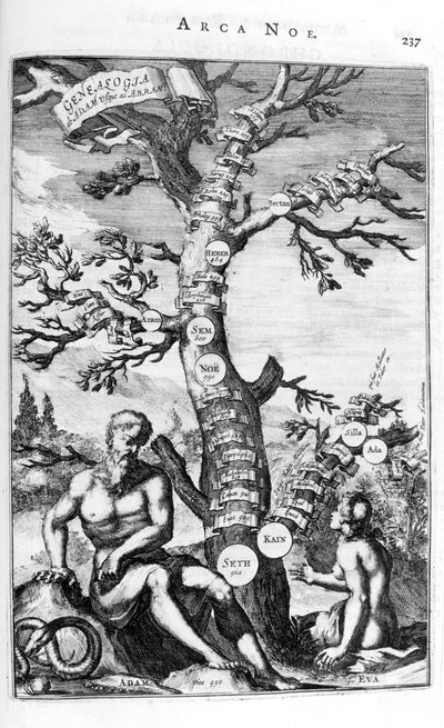 Aadamin sukututkimuspuu, 1675. tekijältä Athanasius Kircher