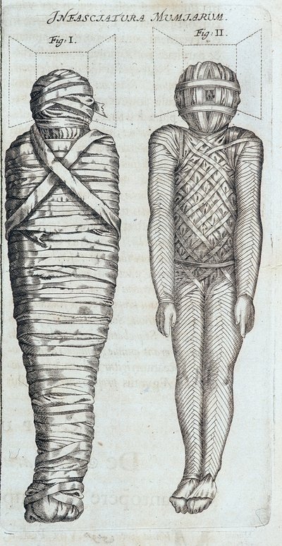 Muumiot - Athanase Kircherin "" Sphynx mystagoga" -kirjassa tekijältä Athanasius Kircher