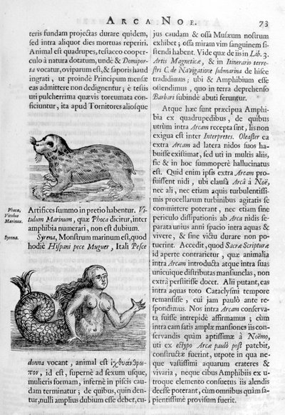 Myyttisiä olentoja, 1675. tekijältä Athanasius Kircher