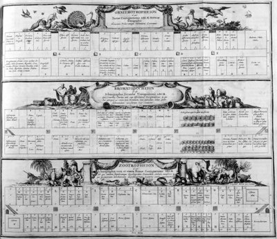 Lajitaulukko, 1765. tekijältä Athanasius Kircher