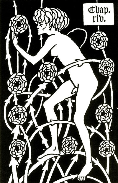hermafrodiitti ruusujen joukossa Le morte d