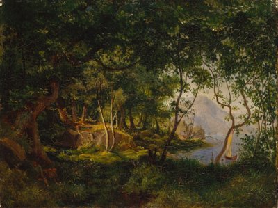 Estudi del paisatge finès tekijältä August Cappelen