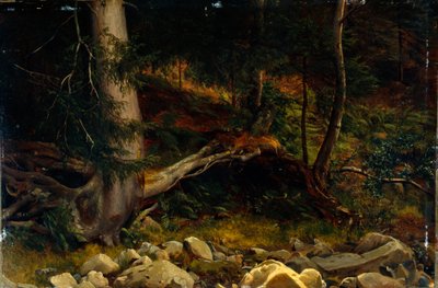 Metsänpohjan tutkimus (maalaus) tekijältä August Cappelen