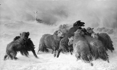 Kadonnut: Auvergnen matkamuisto. tekijältä August Friedrich Albrecht Schenck