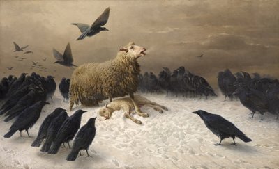 Ahdistus tekijältä August Friedrich Schenk
