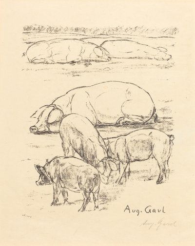 Siat tekijältä August Gaul