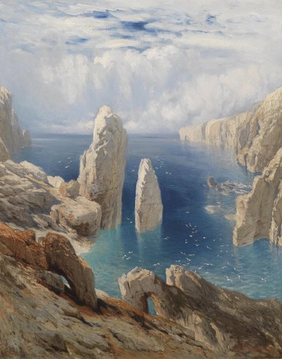 Steilküste tekijältä August Schaeffer von Wienwald
