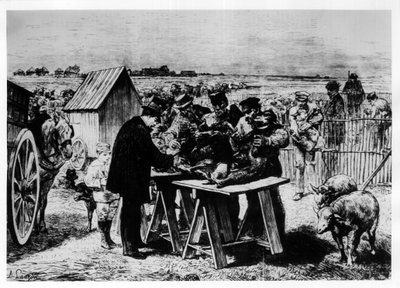 Pasteurin lampaiden rokottaminen, kaiverrus A. Lançon. tekijältä Auguste Andre Lancon
