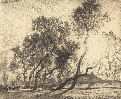 Hollannin poppelifarmi, 1914. tekijältä Auguste Lepere