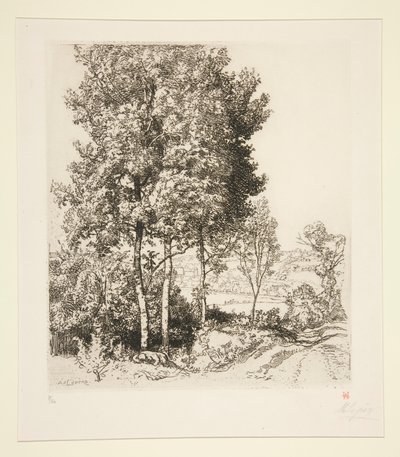 Petit Morinin laakso lähellä Verdelotia (Seine-et-Marne) (Pieni Morinin laakso lähellä Verdelotia [Seine-et-Marne]) tekijältä Auguste Lepere
