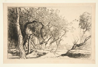 Kierretyt puut (Saint-Jean-de-Monts) tekijältä Auguste Lepere