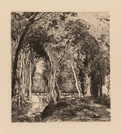 Auguste Lepère: Aluskasvillisuus, Rigonette Vendèe. tekijältä Auguste Louis Lepère