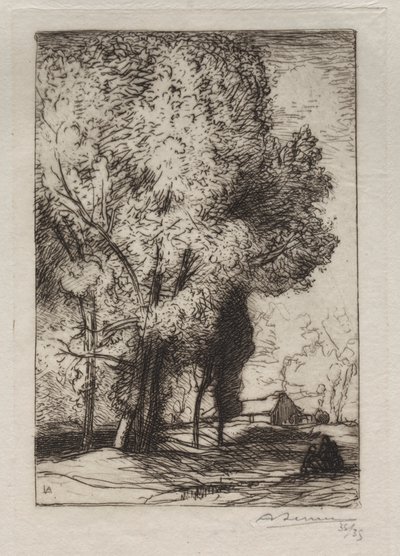 Bourrine poppeleissa, 1911. tekijältä Auguste Louis Lepère