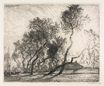 Maatila Hollannin poppelipuilla, 1914. tekijältä Auguste Louis Lepère