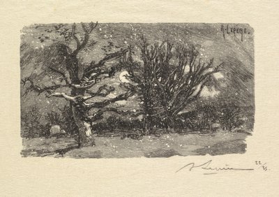 Fontainebleaun metsä: Au dormoir de Lantara (La Forêt de Fontainebleau: Au dormoir de Lantara) tekijältä Auguste Louis Lepère