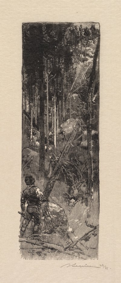 Fontainebleaun metsä: Mäntyjen hakkuu La Forêt de Fontainebleau: Abattage des pines, 1890. tekijältä Auguste Louis Lepère
