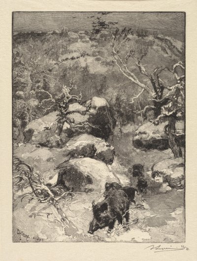 Fontainebleaun metsä: Cuvier-Châtillonin kallio tekijältä Auguste Louis Lepère