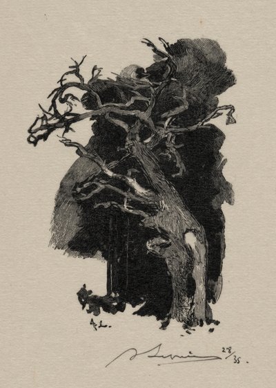 Rager. tekijältä Auguste Louis Lepère