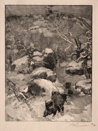 Roche Cuvier Chatillon tekijältä Auguste Louis Lepère