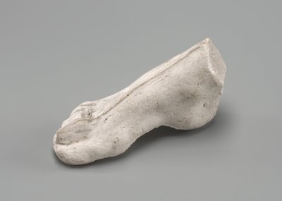 Oikea jalka, mahdollisesti 1880. tekijältä Auguste Rodin