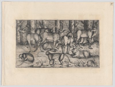 Hirvet metsässä, 1545. tekijältä Augustin Hirschvogel