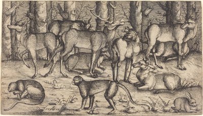 Hirvet metsässä, 1545. tekijältä Augustin Hirschvogel