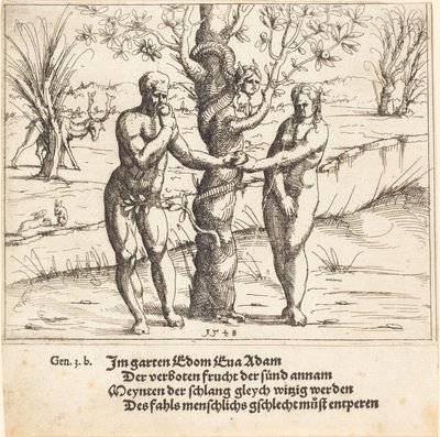 Ihmisen lankeemus, 1548. tekijältä Augustin Hirschvogel