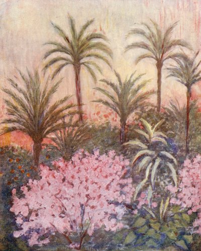 Palmupuutarha Murciassa (värilitro) tekijältä Augustine Fitzgerald