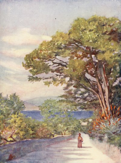 Tie Gibraltarilla (värillinen litografia) tekijältä Augustine Fitzgerald