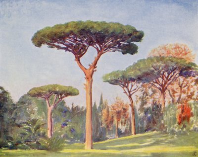 Rock Pines, Villa Floridiana (värilitro) tekijältä Augustine Fitzgerald