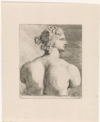 Venus de